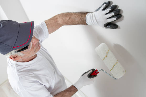 Biohazard Mold Removal in Nellieburg, MS