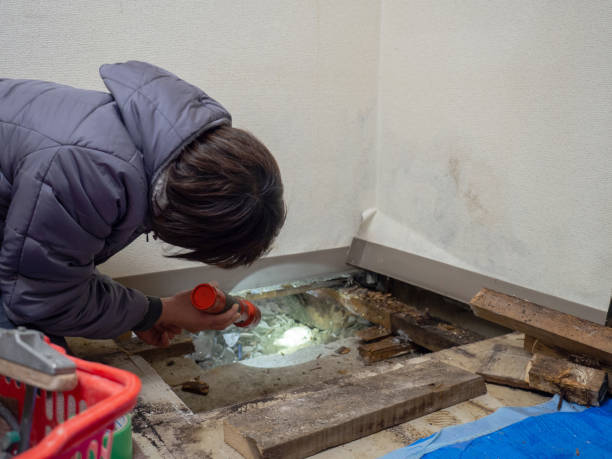 Best Industrial Mold Remediation  in Nellieburg, MS