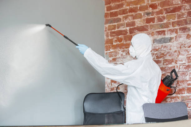 Best Crawl Space Mold Remediation  in Nellieburg, MS
