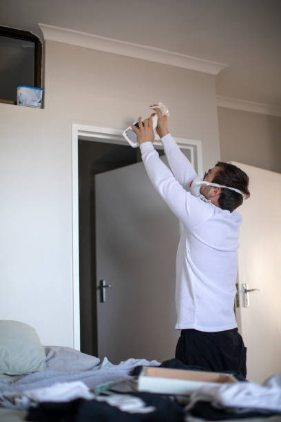 Best Mold Damage Restoration  in Nellieburg, MS