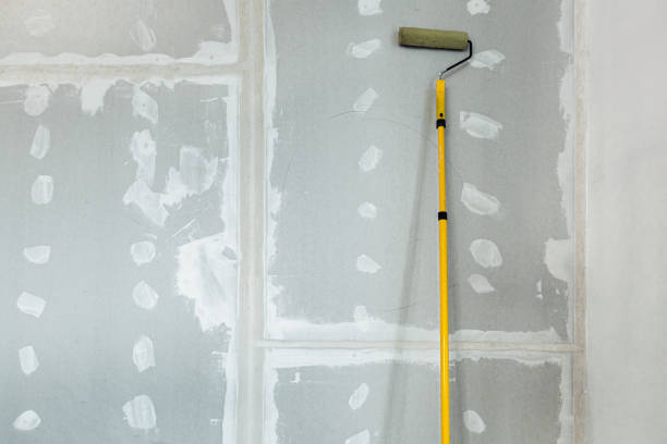 Best Environmental Consulting for Mold Prevention  in Nellieburg, MS