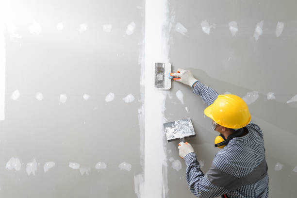 Best Dehumidification Services  in Nellieburg, MS