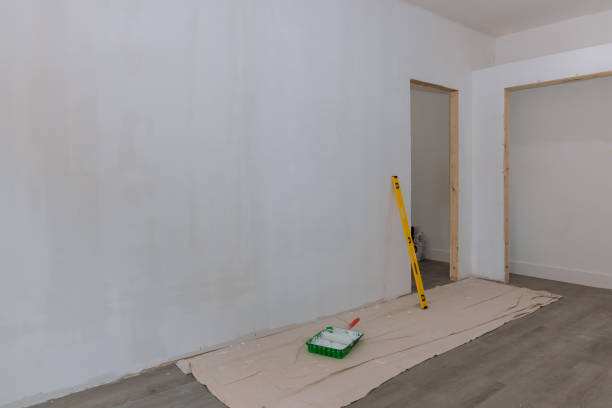Mold Odor Removal Services in Nellieburg, MS