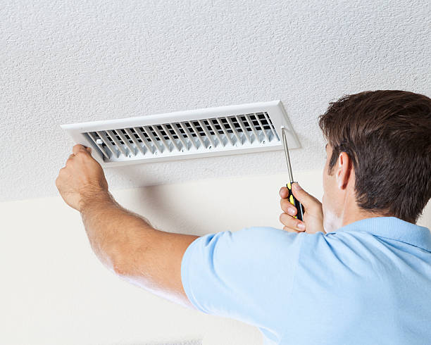 Reliable Nellieburg, MS Mold Removal Solutions
