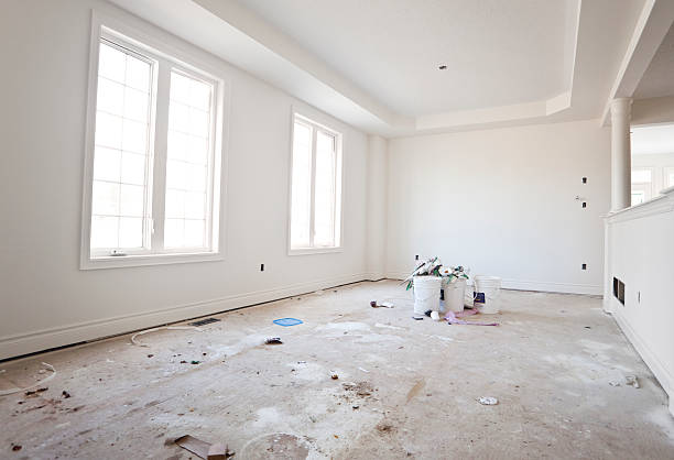 Best Mold Odor Removal Services  in Nellieburg, MS