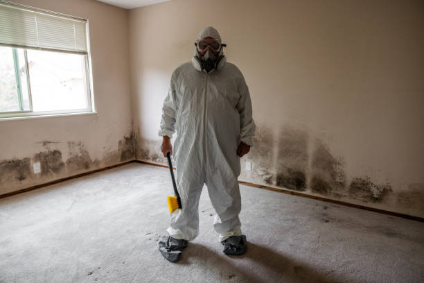 Asbestos and Lead Testing During Mold Inspection in Nellieburg, MS